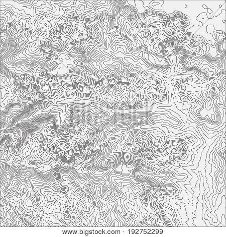 Topographic map background concept with space for your copy. Topo contour map background, vector