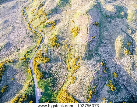 Aerial view of scottish single track road with passing places broom on a moor in the highlands, uk