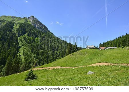 The mid-June rural landscape of the Carnic Alps near Paularo Friuli Venezie Giulia north east Italy.