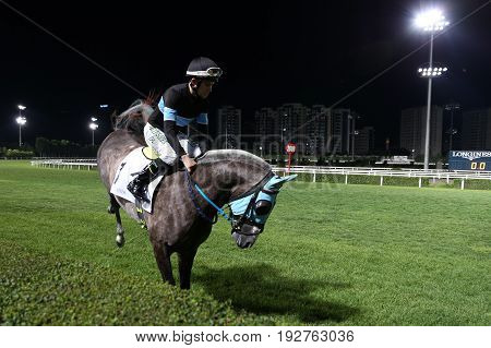 Istanbul Horse Race