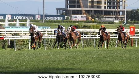 Istanbul Horse Race