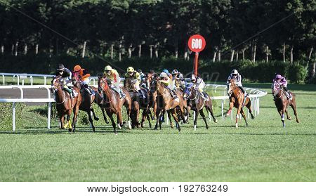 Istanbul Horse Race