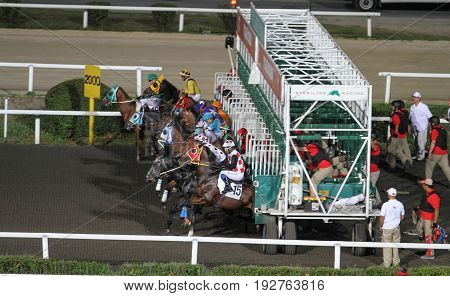 Istanbul Horse Race