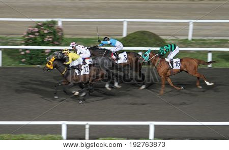 Istanbul Horse Race