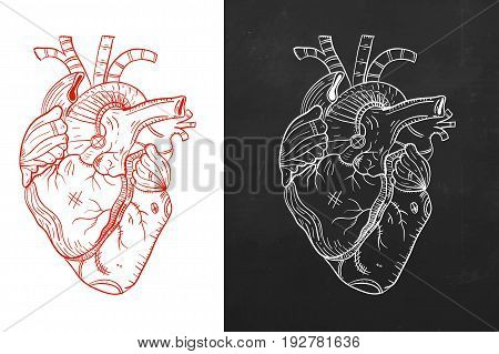 Concept of trendy isolated heart  in two defferent styles