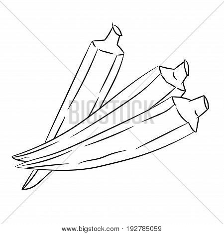 Hand drawn sketch of Okra or Lady's Finger isolated, Black and White Cartoon Vector Illustration for Coloring Book - Line Drawn Vector