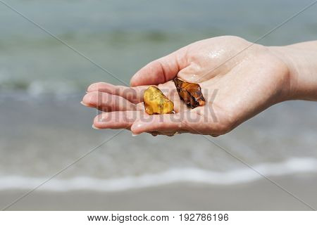 Amber in the hand with a bright reflection on the palm against the background of the sea. Bright glow of the sun stone in female hand. Mineral from resin yellow with insects inside against the sea.