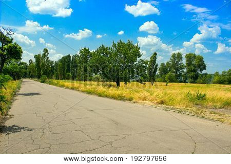 Cracked Asvalt on the old highway near dry grass and trees
