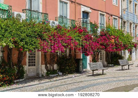 Lisbon, Portugal - May 20, 2917: Very Popular Art Centrum Lx Factory In Lisbon
