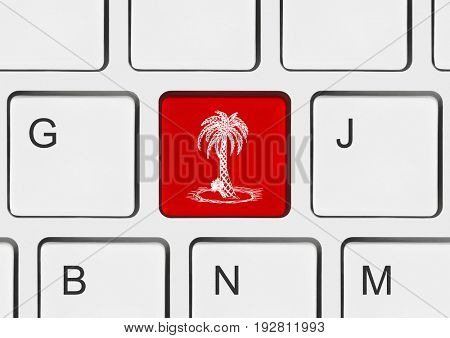 Computer keyboard with palm tree key