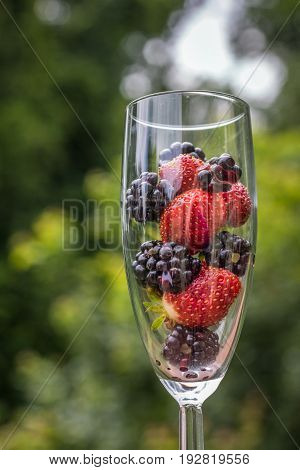 Vertical photo of colorful strawberries and blackberries in a champagne glass with green trees in soft focus in the background