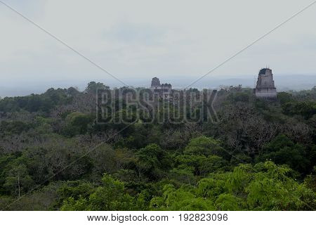 Tikal Mayan Ruins near Flores in Guatemala, jaguar temple is the famous pyramid in Tikal