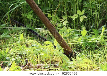 The worker mows the grass with a scythe. Russia