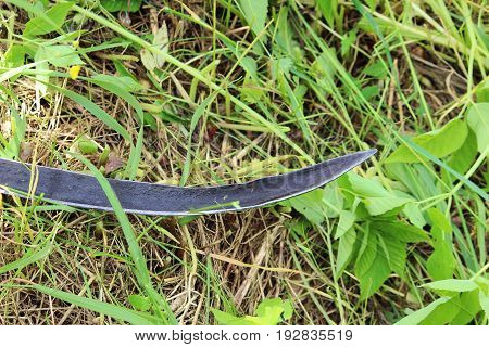 The worker mows the grass with a scythe. Russia