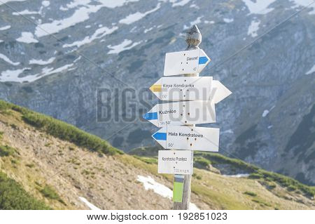Poland Tatra mountains Signpost at Kondracka Przełęcz reamins of snow