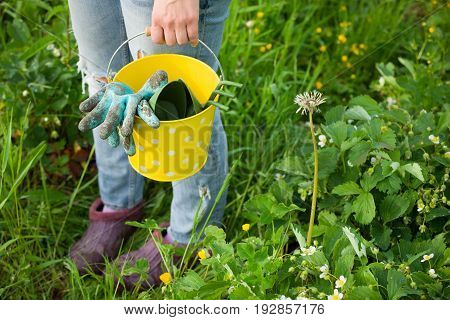 Closeup of woman's hands in gardening gloves holding metal bucket with garden tools: spade and rake. Working in the gaden planting. Lifestyle.