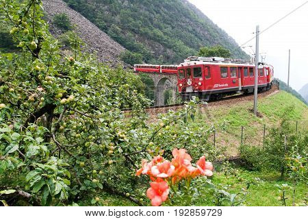 Bernina Express Train At Brusio On The Swiss Alps