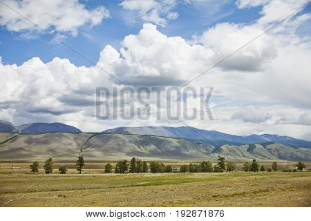 Kurai Steppe. Altai Mountain Summer Landscape