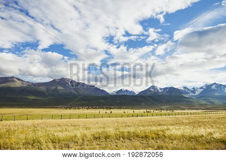 Kurai Steppe. Altai Mountain Summer Landscape. Russia