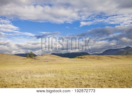 Kurai Steppe. Altai Mountain Summer Landscape