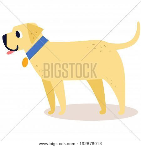 Cute cartoon golden retriever in a blue collar isolated on white background. Simple modern flat style vector