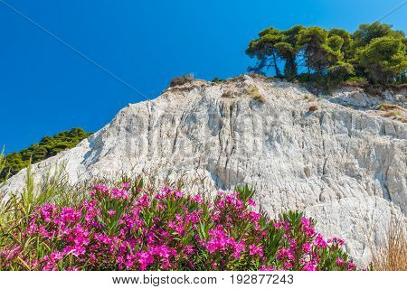 Top of the white cliffs Mons Klint