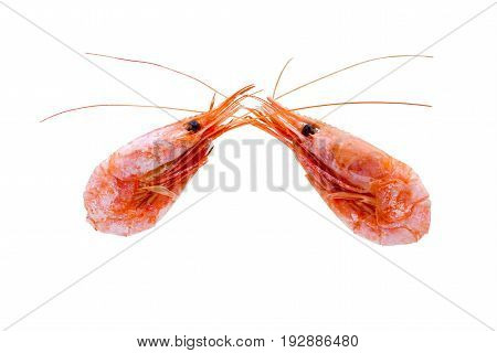 Cooked shrimp isolated on white background. Boiled shrimp. Prawns. Seafood