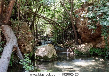 Amud stream passing through the forest in the north of Israel