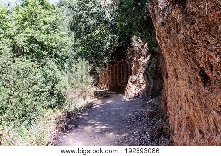 Path passing through a wooded and descending to the Amud River