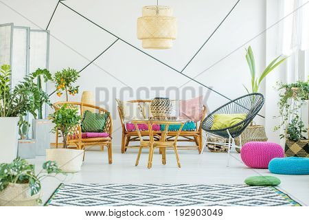 Living room with colorful poufs plants and decorative tape on the wall