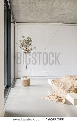 Beautiful sunlight in spacious minimalistic living room