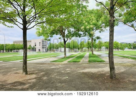 Freshy trees in the modern minimalist garden.