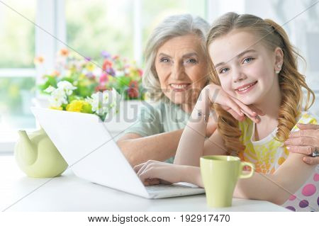Cute little girl with her grandmother using modern laptop
