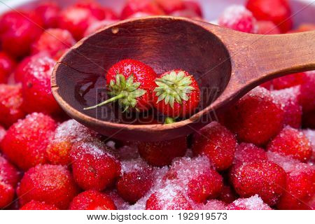 Against a background of strawberries with sugar a wooden spoon for jam on which lies a few strawberries with green leaves.