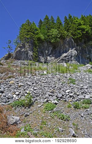 The mid-June rural landscape of the Carnic Alps near Paularo Friuli Venezie Giulia north east Italy.