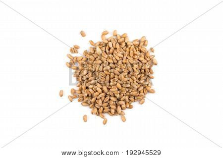 Wheat Grain On White