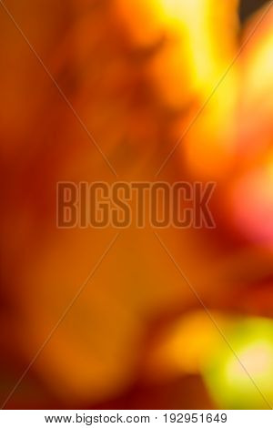Lily Red Abstract Texture. Macro Photography With Blur