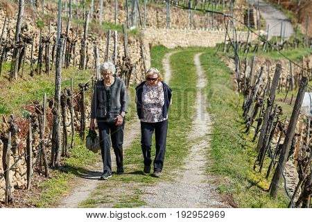 WEISSENKIRCHEN/ AUSTRIA - APRIL 2, 2017. Two elderly women walking in the vineyards near the village of Weissenkirchen. Wachau valley, Lower Austria.