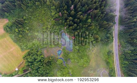 Aerial view of a forest with lake. Natural park Zelenci, Slovenia.