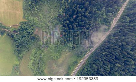 Aerial view of a forest with lake. Natural park Zelenci, Slovenia.