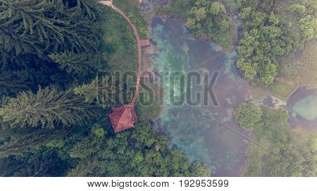 Aerial view of a forest with lake. Natural park Zelenci, Slovenia.