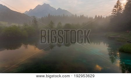 Morning mists rising above forest lake. Natural park Zelenci, Slovenia.