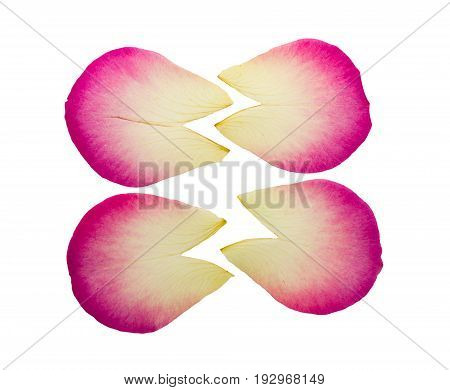 Pressed and dried delicate pink petals of rose flowers isolated on white background. For use in scrapbooking pressed floristry (oshibana) or herbarium.