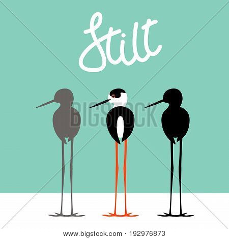 stilt  bird  vector illustration style Flat black silhouette