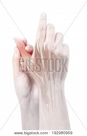finger muscle pain white background finger injury