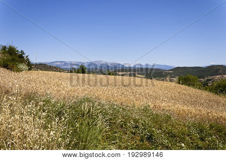Solsona summer field landscape with Montsec range at background. Lleida Catalonia Spain.