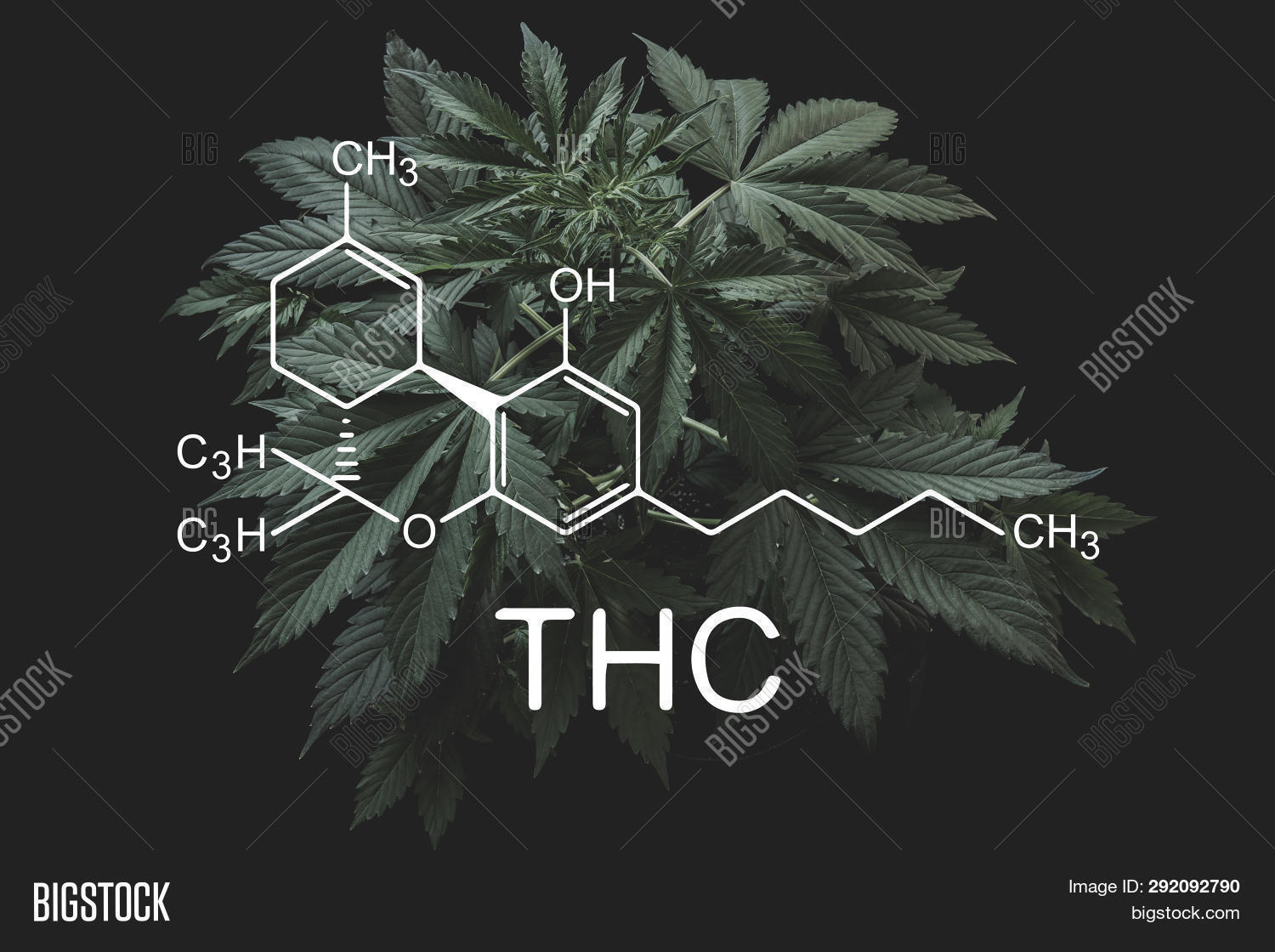 Thc Formula Image Photo Free Trial Bigstock