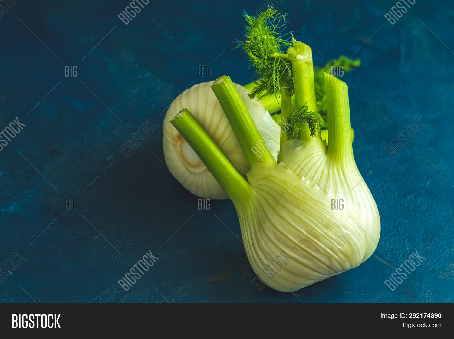 Fresh Florence Fennel Image & Photo (Free Trial) Bigstock