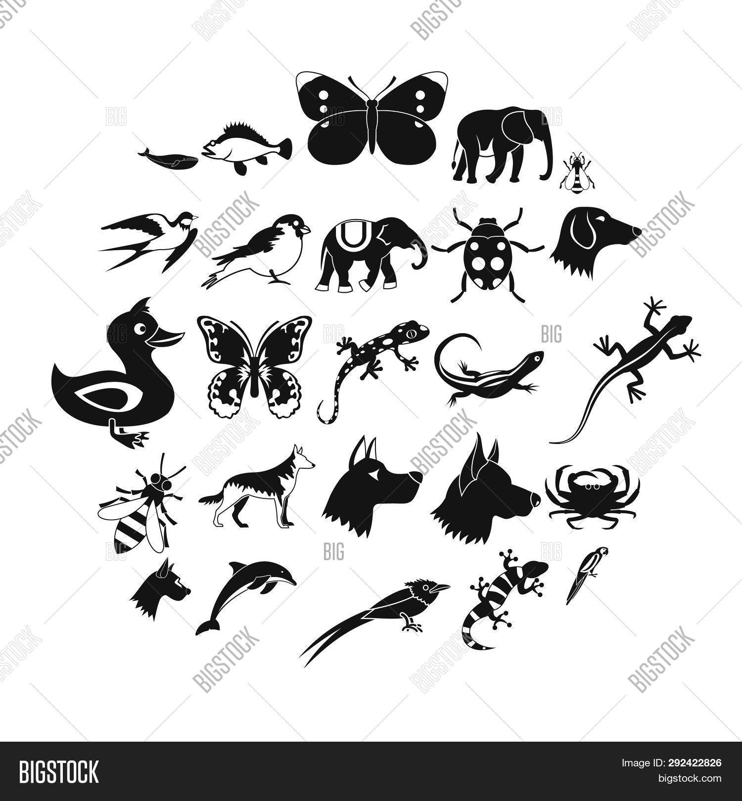 Animal Kingdom Icons Image & Photo (Free Trial) Bigstock
