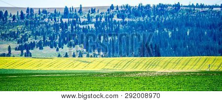 Nature And Landscapes In Spokane Reservation Near Spokane Columbia  River